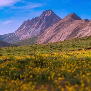 دانلود آهنگ اسمع اسمع یا صهیون